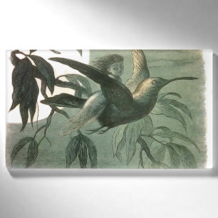 Elf Fairies Elves Moon Night Scene Bird Flying Namenschild