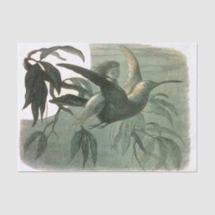 Elf Fairies Elves Moon Night Scene Bird Flying Seidenpapier
