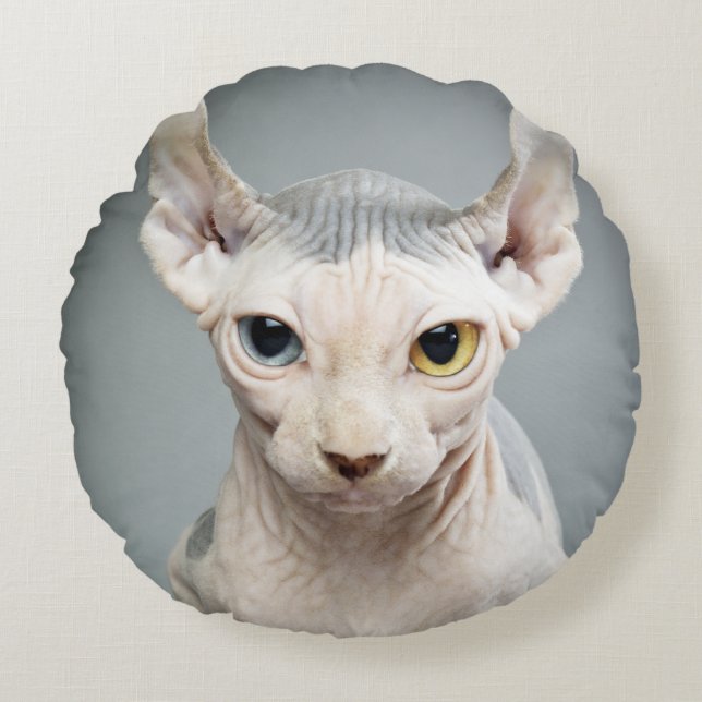 Elf-Sphinx-Katzen-Fotografie-Bild Rundes Kissen (Vorderseite)