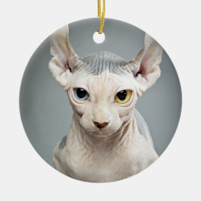 Elf-Sphinx-Katzen-Fotografie Keramik Ornament (Vorne)