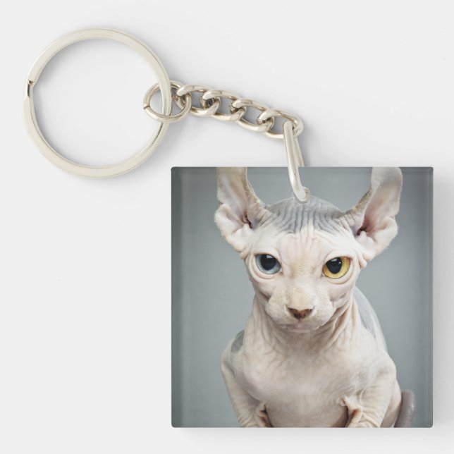Elf-Sphinx-Katzen-Fotografie Schlüsselanhänger (Vorderseite)