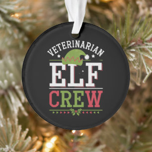 Elfe de Noël vétérinaire technicien vétérinaire 