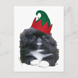 Elfen-Pekingeser-Welpe Weihnachten