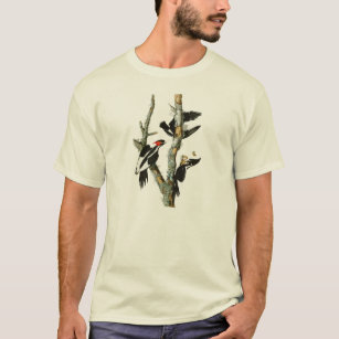 Elfenbein-berechnete Specht Audubon Vögel von T-Shirt
