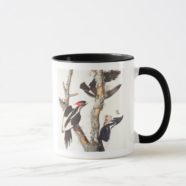 Elfenbein-berechneter Specht, 1829, (Druck) Tasse (Rechts)