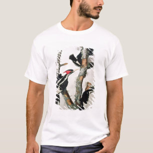 Elfenbein-berechneter Specht, 'von den Vögeln von T-Shirt
