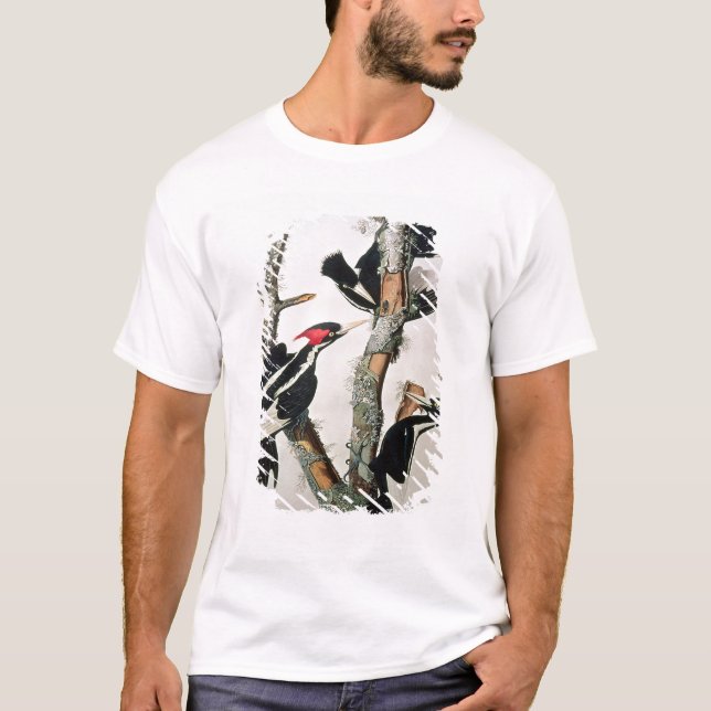 Elfenbein-berechneter Specht, 'von den Vögeln von T-Shirt (Vorderseite)