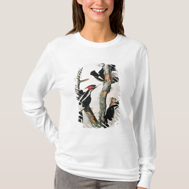 Elfenbein-berechneter Specht, 'von den Vögeln von T-Shirt (Vorderseite)