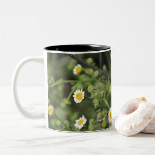 Elfenbein Wüsten-Fels-Gänseblümchen Wildblumen Coa Zweifarbige Tasse