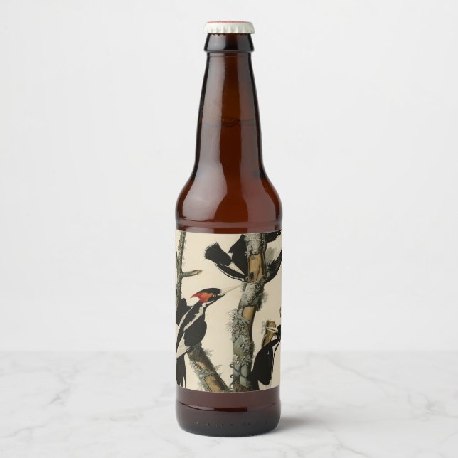 Elfenbeinflecker Audubons Vögel Amerikas Bierflaschenetikett (Vorderseite)