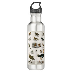 Elfenbeinspecht Edelstahlflasche