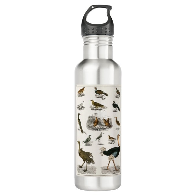 Elfenbeinspecht Edelstahlflasche (Vorderseite)