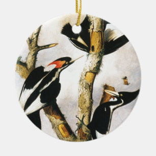 Elfenbeinspecht (Joseph Bartholomew Kidd) Keramikornament