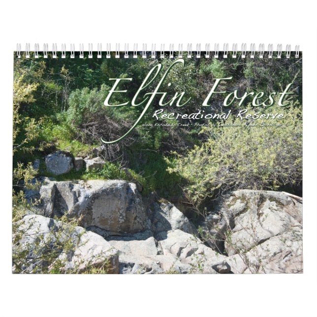 Elfin-Waldkalender Kalender (Titelbild)