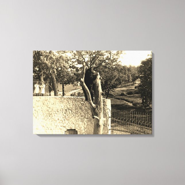 Elgin Illinois Lords Park 1890er Fotografen Bären Leinwanddruck (Vorderseite)