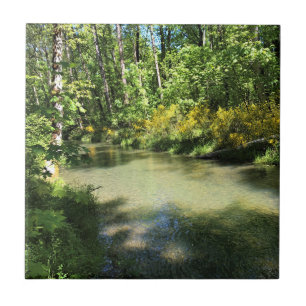 Elijah Bristow Staat Park, Dexter, Oregon Fliese