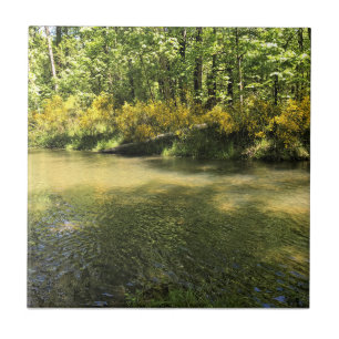 Elijah Bristow Staat Park, Dexter, Oregon Fliese