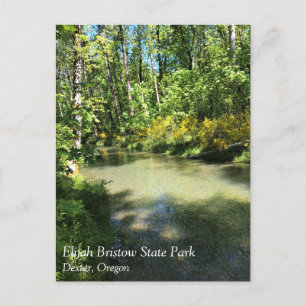 Elijah Bristow Staat Park, Dexter, Oregon Postcard Postkarte