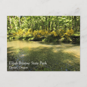 Elijah Bristow Staat Park, Dexter, Oregon Postcard Postkarte