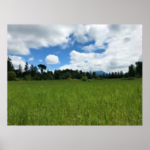 Elijah Bristow Staat Park, Dexter, Oregon Poster