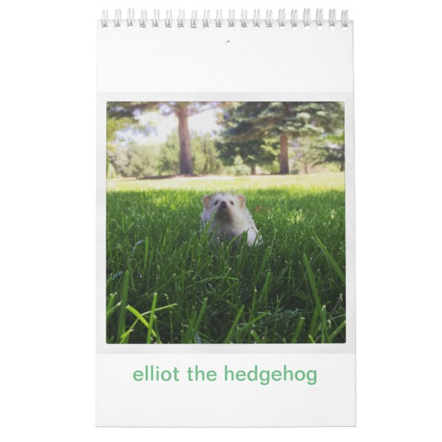 Eliot der Igelskalender Kalender (Titelbild)