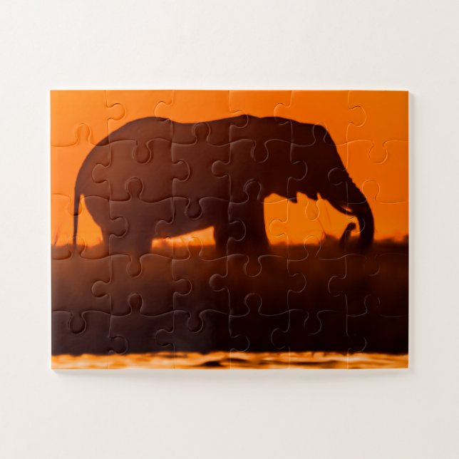 Eliphant Grazing bei Sunset (Horizontal)
