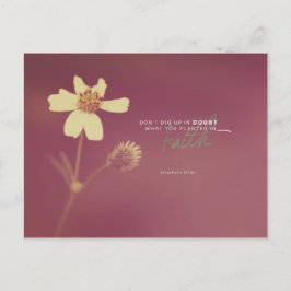 Elisabeth Elliot - gepflanzt in den Glauben Postkarte