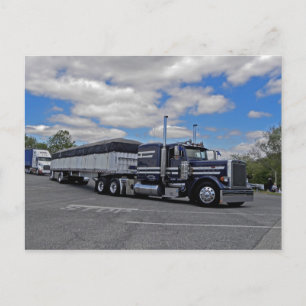 Elite Pete 379 Postcard Postkarte