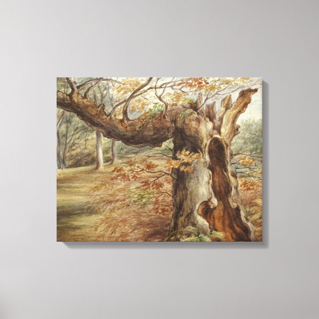 Elizabeth Murray - Rotting Tree Leinwanddruck (Vorderseite)