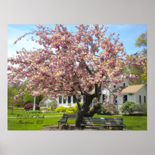 Elizabeth Park, Hartford, CT Poster