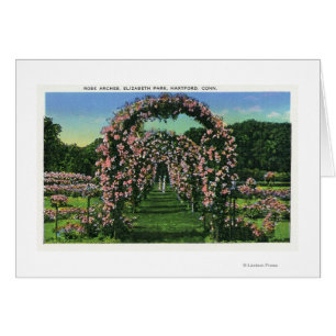 Elizabeth Park Vue des arches Roses