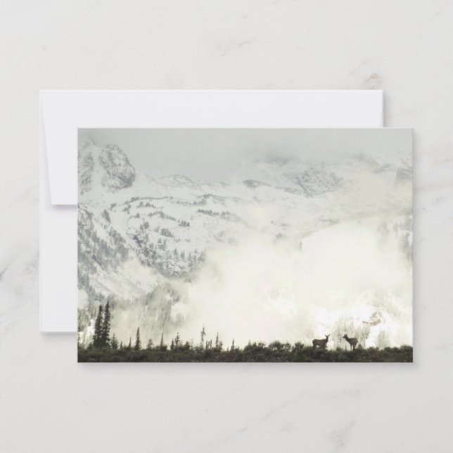 Elk at Grand Teton National Park Fotografy (Vorderseite)