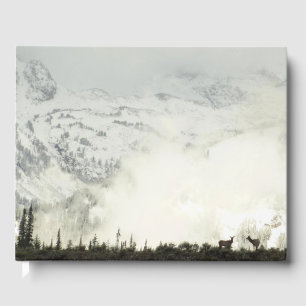 Elk at Grand Teton National Park Fotografy Gästebuch