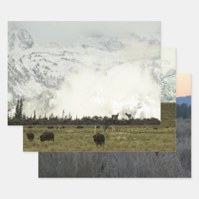 Elk at Grand Teton National Park Fotografy Geschenkpapier Set (Set)