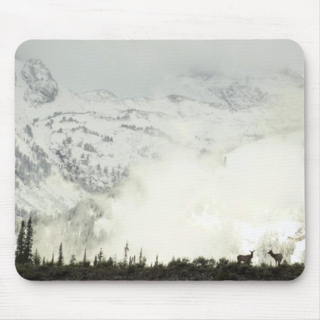 Elk at Grand Teton National Park Fotografy Mousepad (Vorne)
