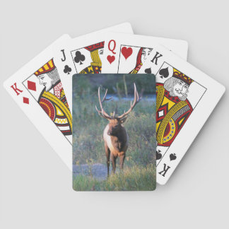 Elk Bicycle Playing Cards Spielkarten
