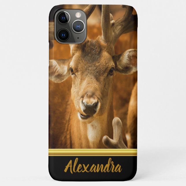 Elk Buck, der dich genau ansieht Case-Mate iPhone Hülle (Rückseite)