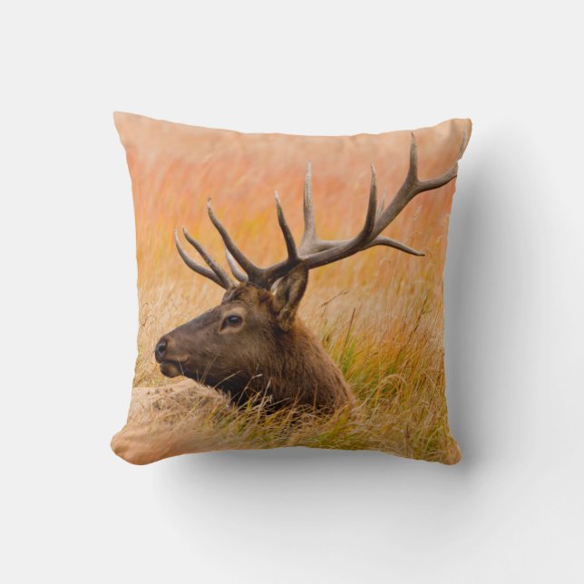 Elk (Cervus elephus) Resting In Meadow Grass Kissen (Vorderseite)