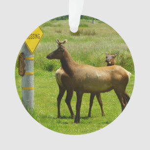 Elk Crossing California Wildlife Fotografie Ornament