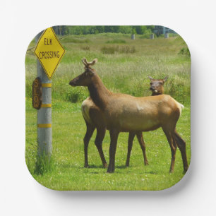 Elk Crossing California Wildlife Fotografie Pappteller