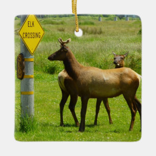 Elk Crossing California Wildlife Keramikornament