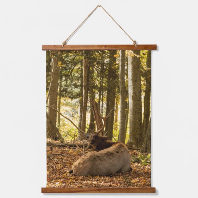 Elk Custom 26"x36" Vertikal (Portrait), ein Panel Wandteppich Mit Holzrahmen (Vorderseite)