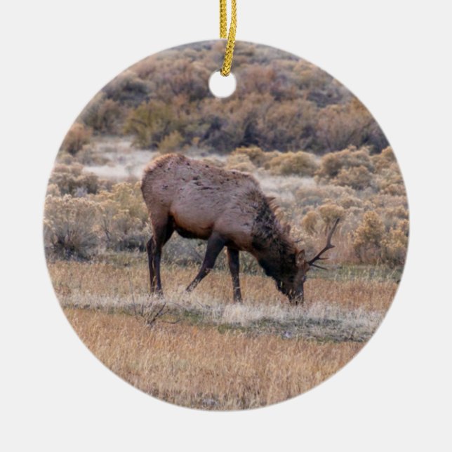 Elk Deer Ornament (Vorne)
