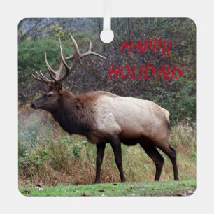 Elk Happy Holidays Ornament