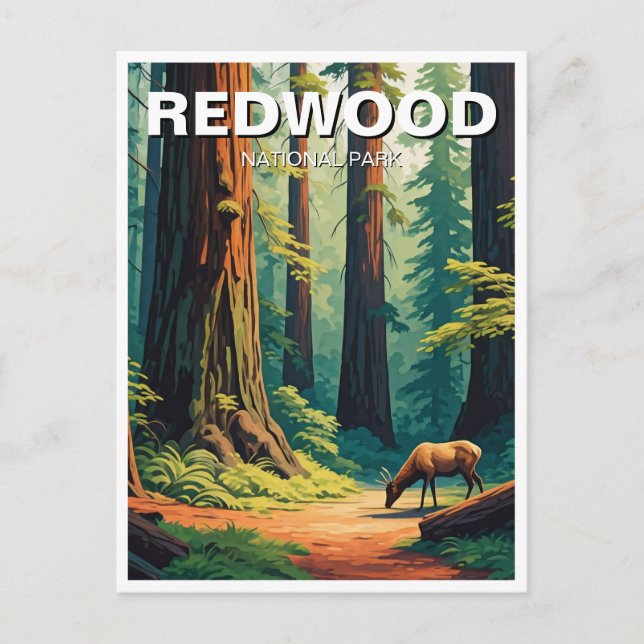 Elk im Redwood National Park Souvenir Postkarte (Vorderseite)