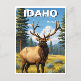 Elk in Idaho Postkarte