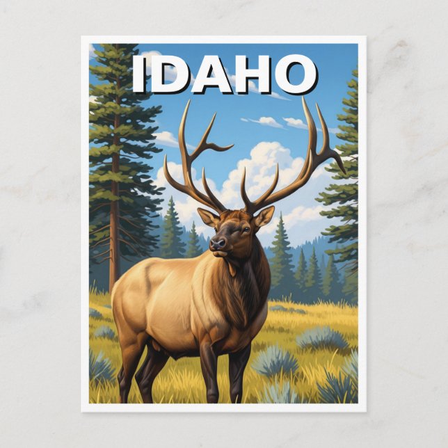 Elk in Idaho Postkarte (Vorderseite)