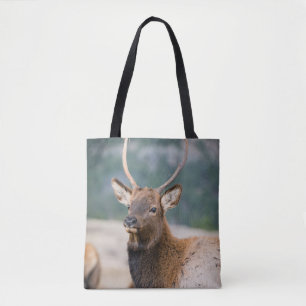 ELK IN ROCKY MOUNTAIN NATIONAL PARK - ELK HERK GR TASCHE