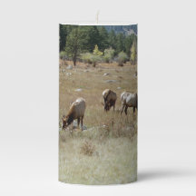 Elk-Kerze