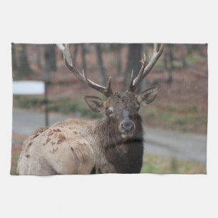 Elk Kitchen Handtuch